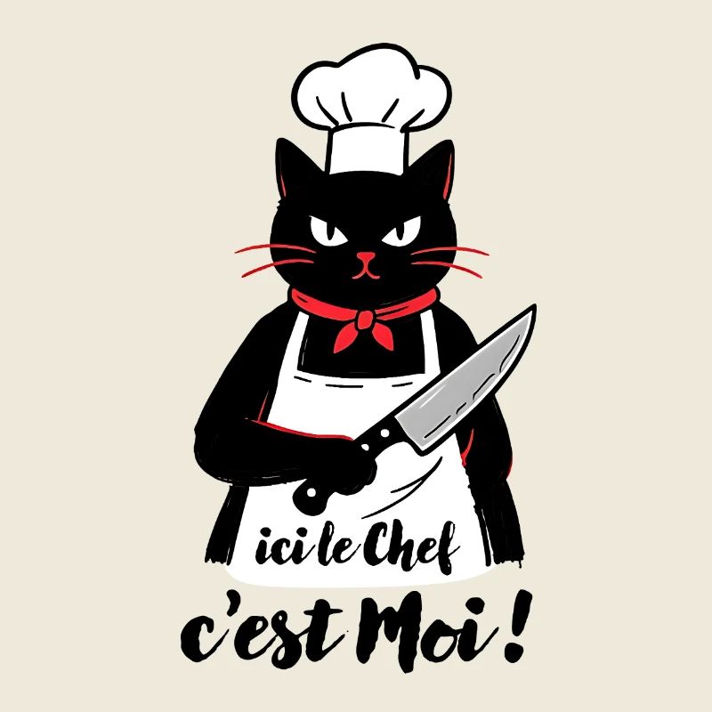 Chat Noir cuisinier, ici le chef c'est moi !