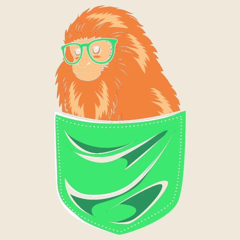 Singe Tamarin