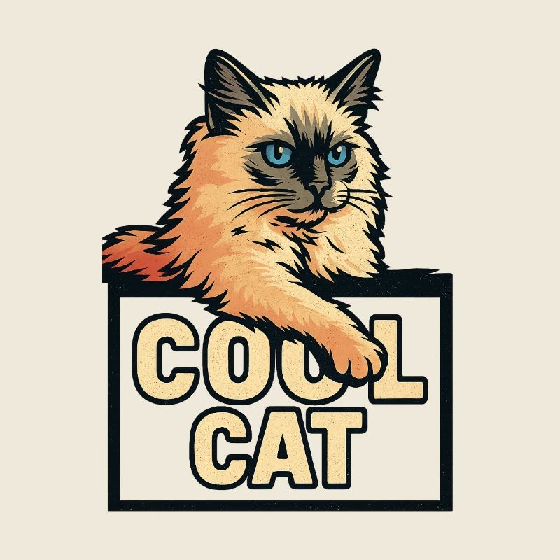 Coole Katze 