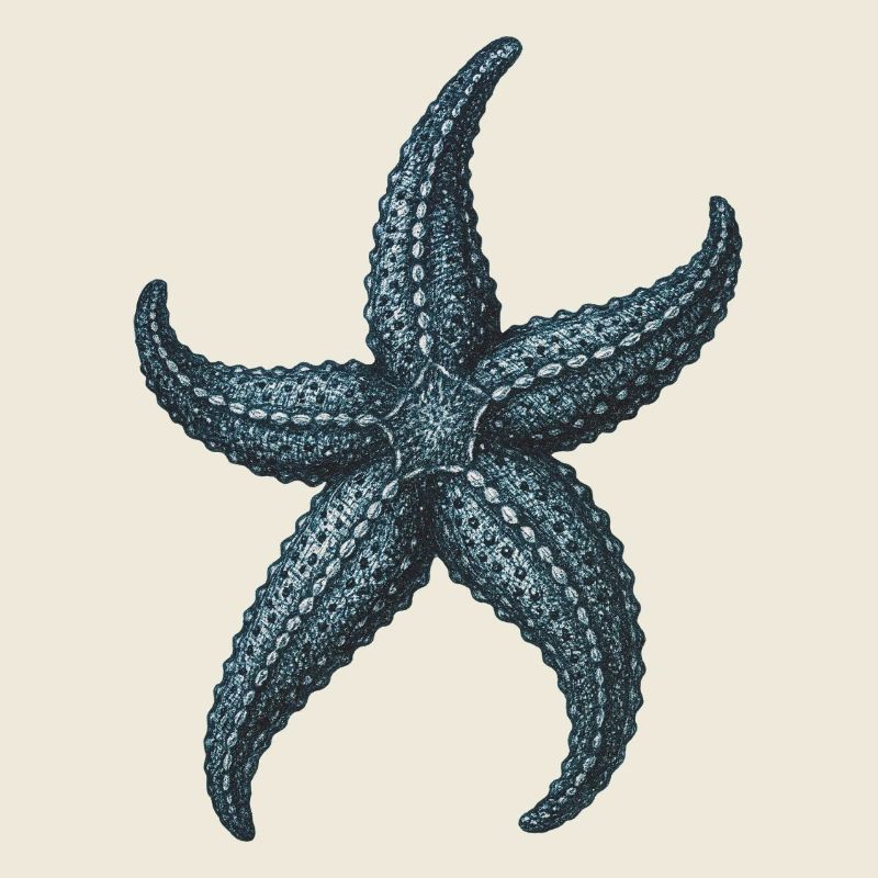 Detaillierte blaue Seestern-Illustration