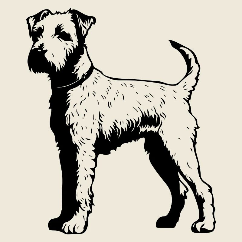 Chien Airedale Terrier