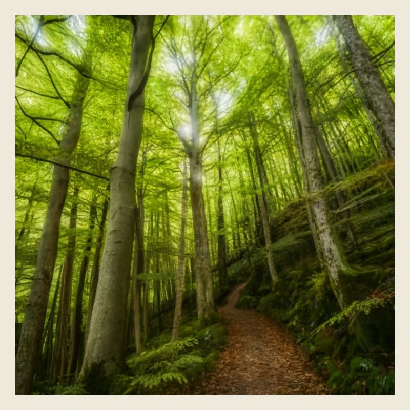 Smaragdgrne Dschungel