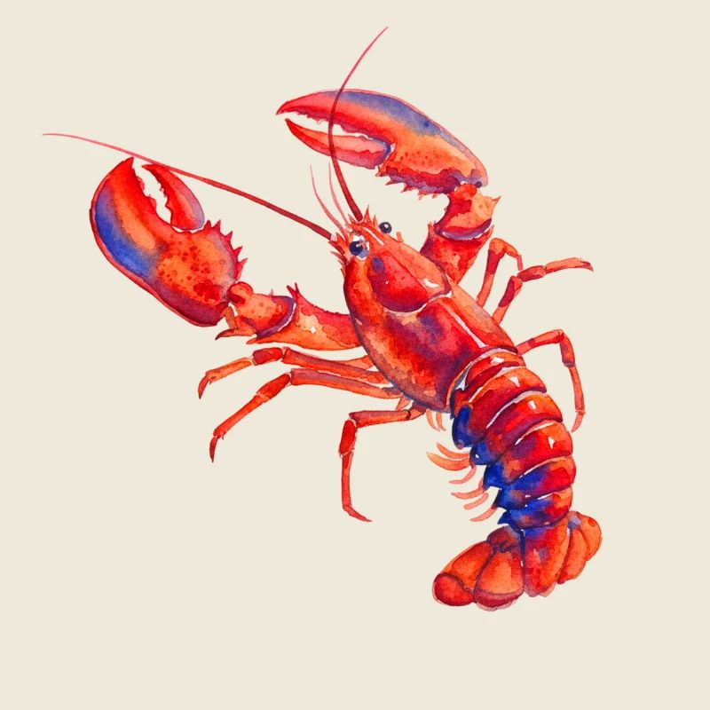 Homard rouge, illustration à l'aquarelle vive