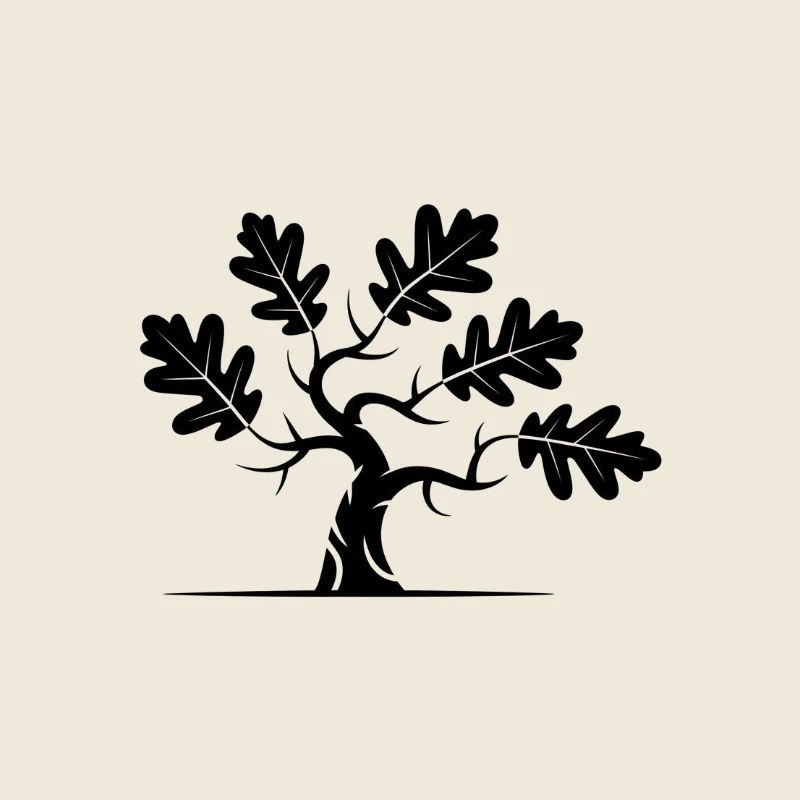 Oak Bonsai Tree