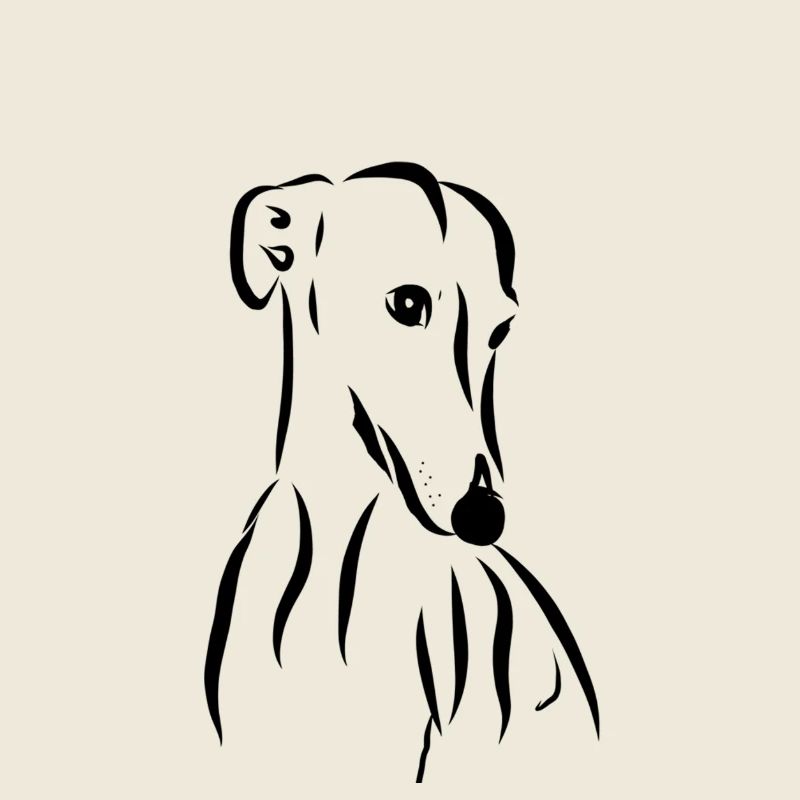 Galgo laws