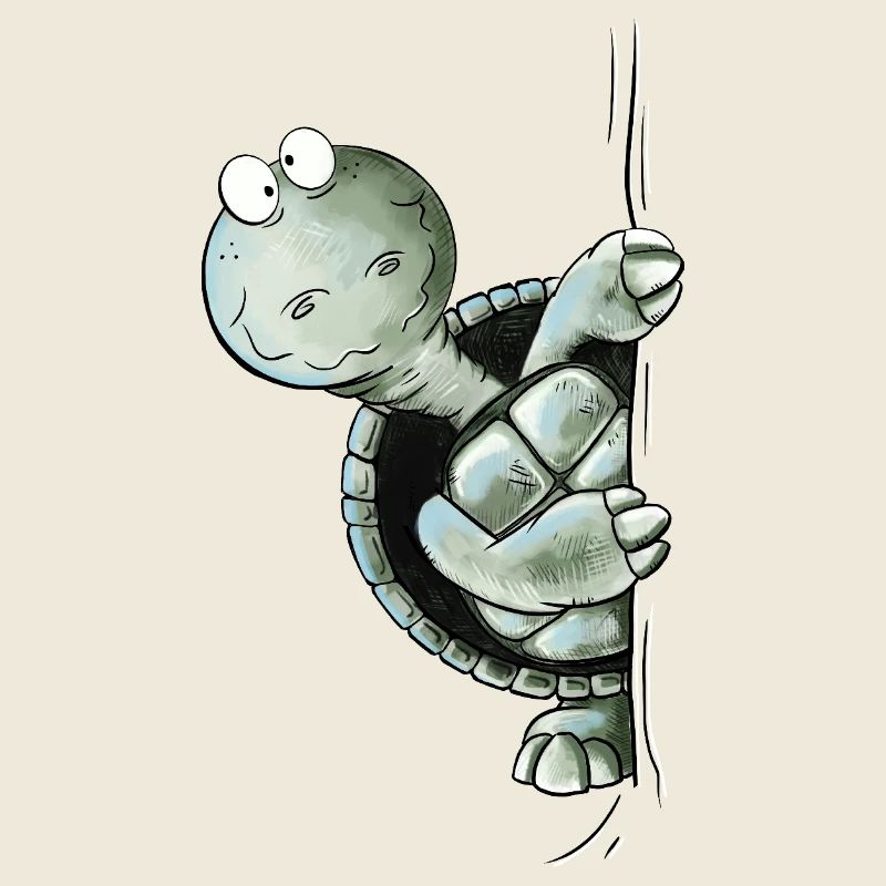 Look Look Turtle Wild Animal Domestic Turtle