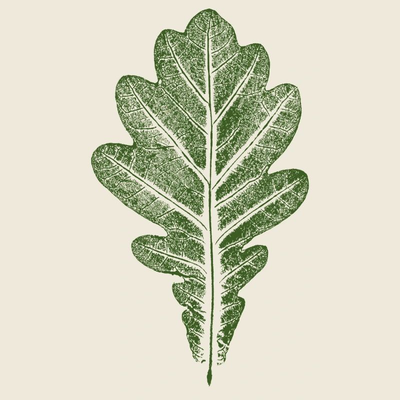 Blatt Eiche - Eichenblatt / Natur & Wald Design
