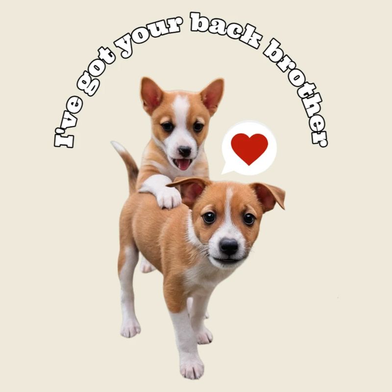 Podengo - I got your back