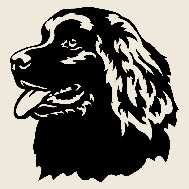 Newfoundland Head