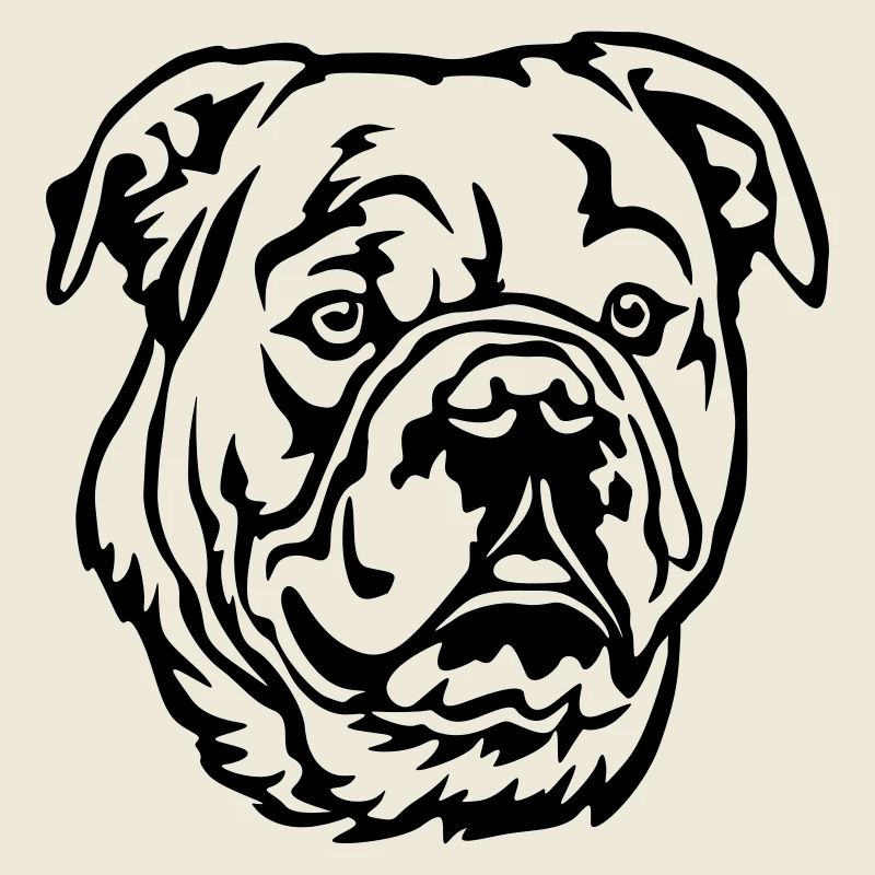 Continental Bulldog Kopf