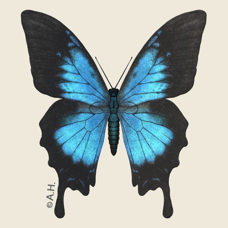 Blauer Schmetterling Neonflügel