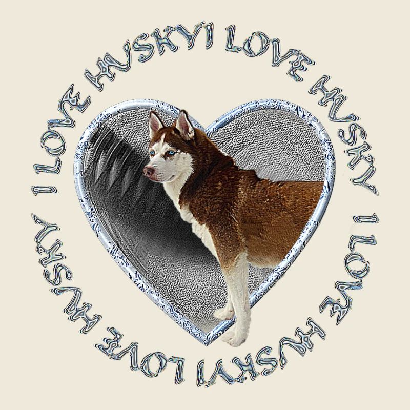 Husky im Herzen Liebe