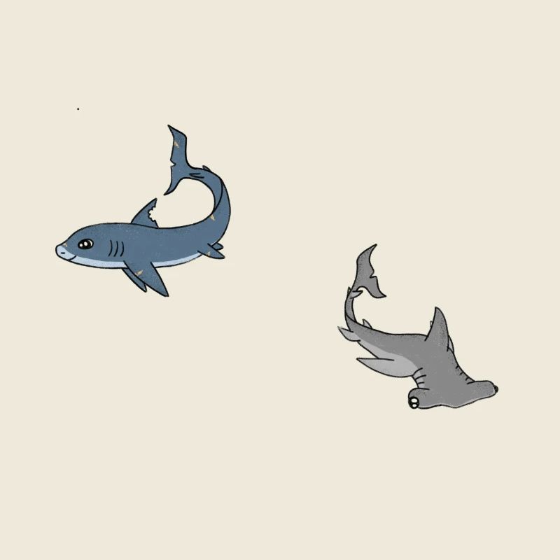 les requins