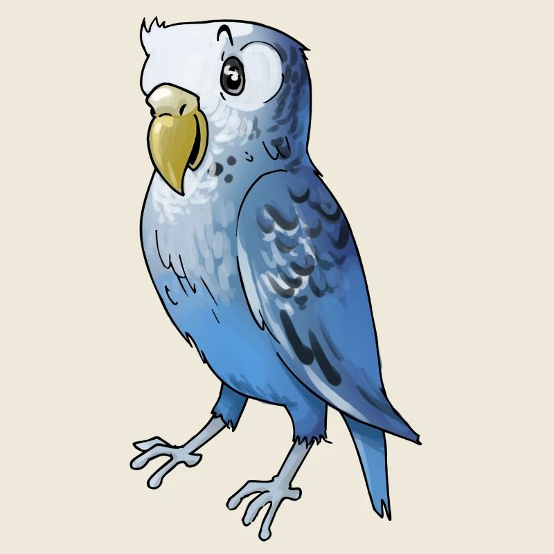 wellensittich budgie budgerigar birds voegel