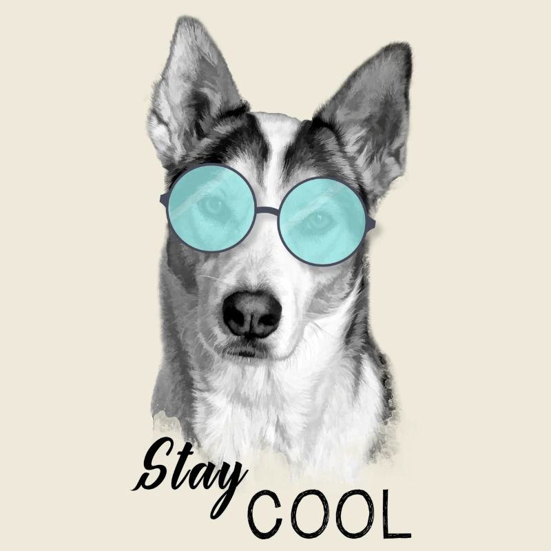 Chien - Reste cool
