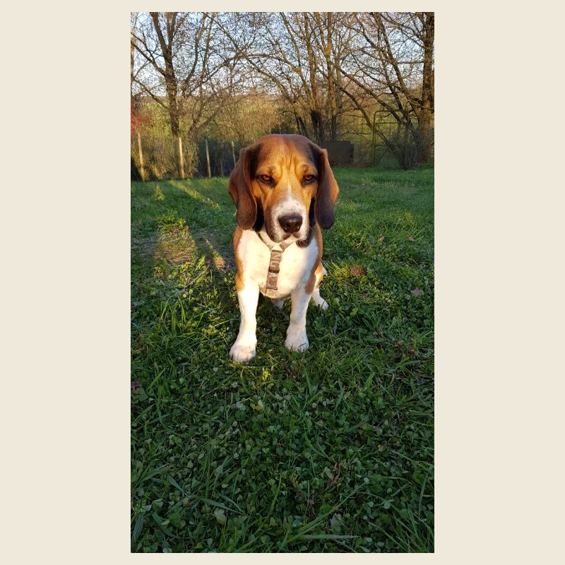 BD2D42FA 2360 40FD B0CB 5113CCC2E731