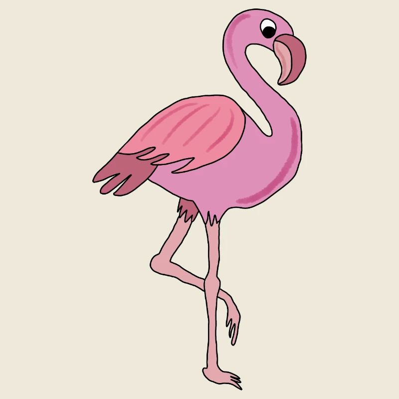 flamingo, pink