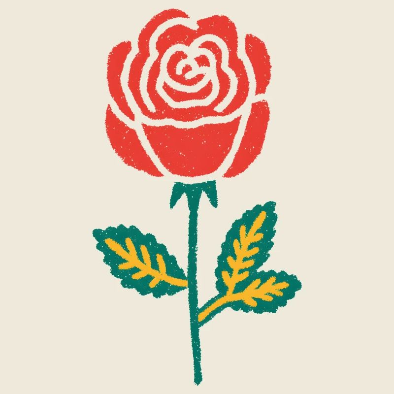 Red Rose Hand Drawing