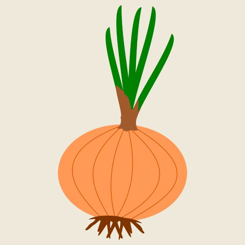 oignons oignon légume Halloween vegetables29
