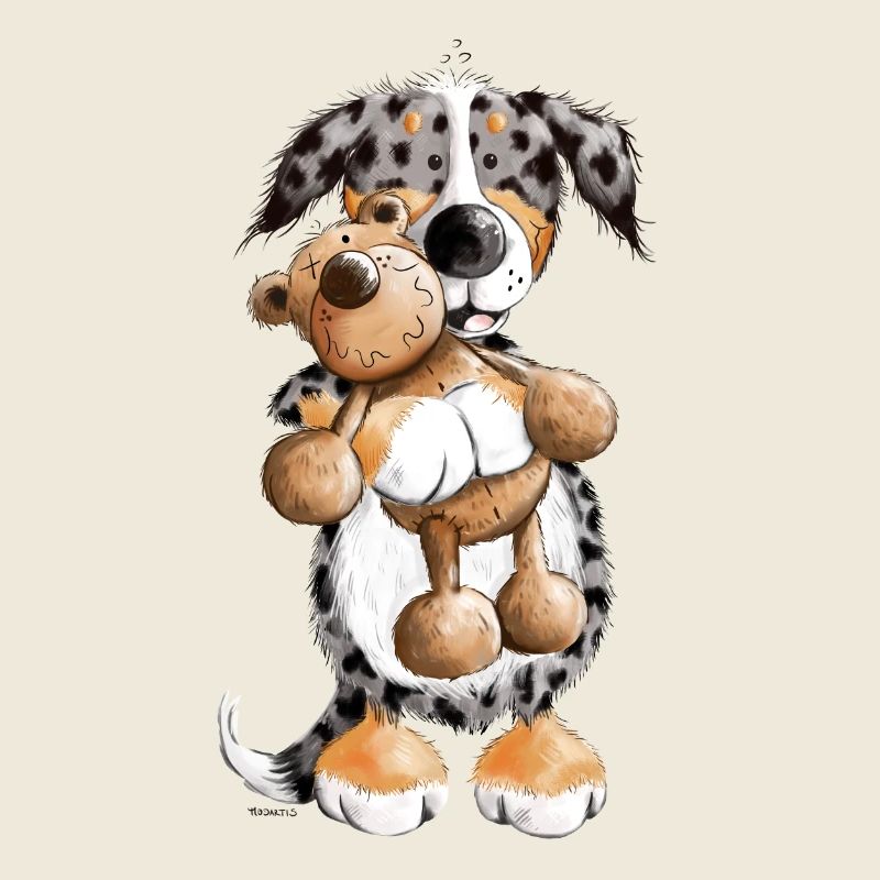 Australian Shepherd mit Teddy