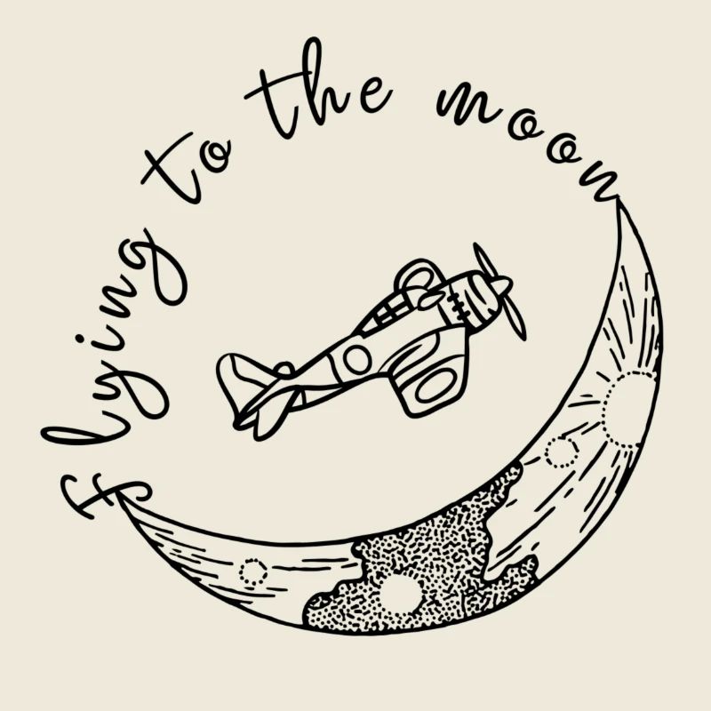 Flying To The Moon