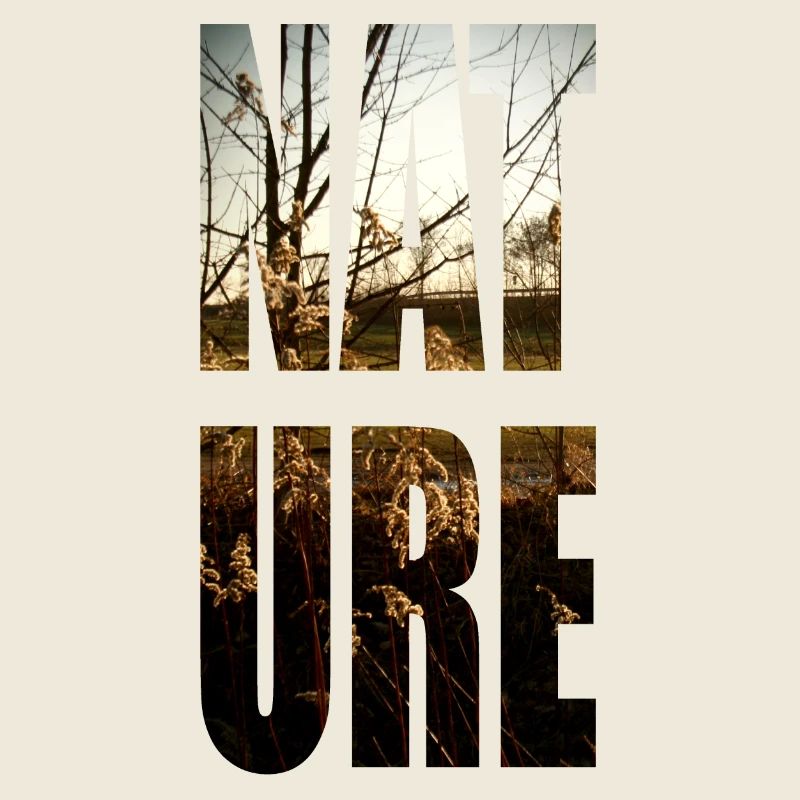 nature n ° 2