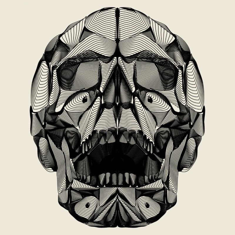 Menschlicher Schädel