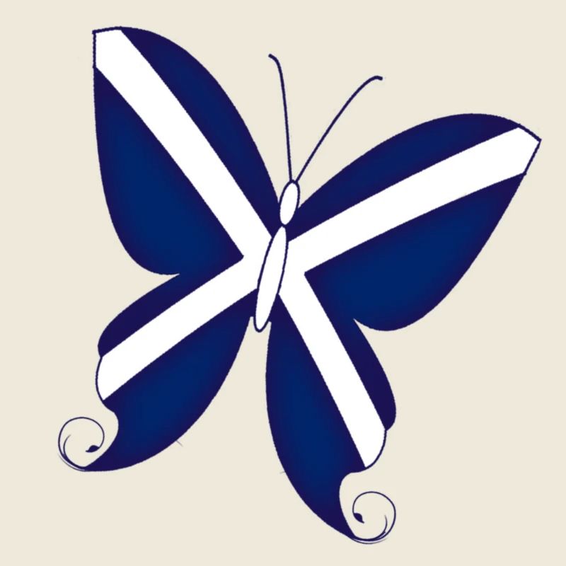 Papillon écossais