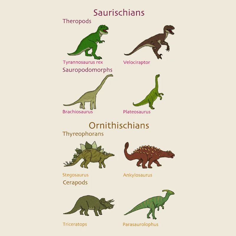 Dinosaur Classification