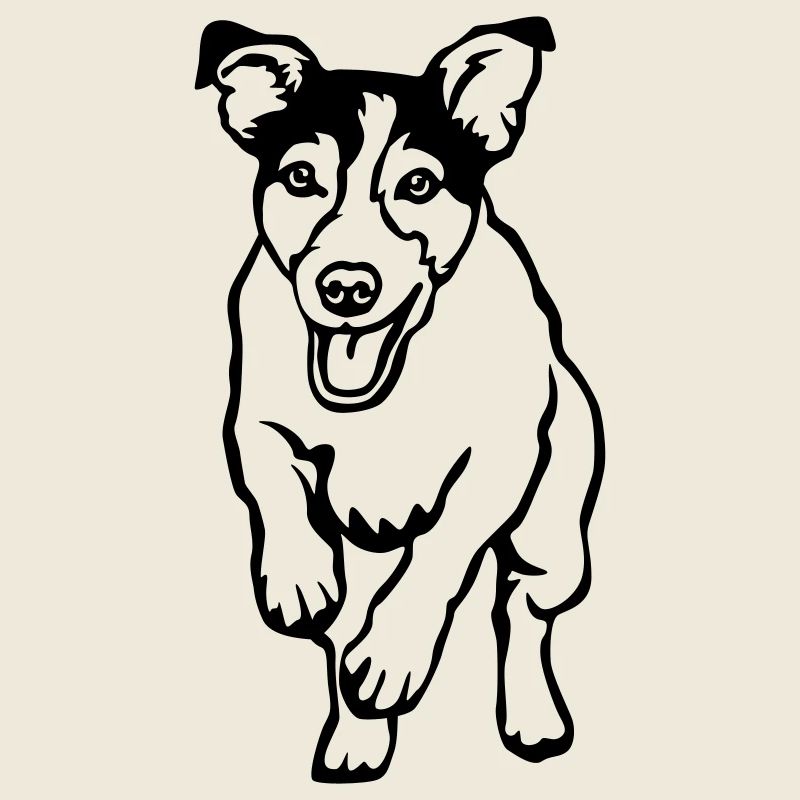 Jack Russell Terrier