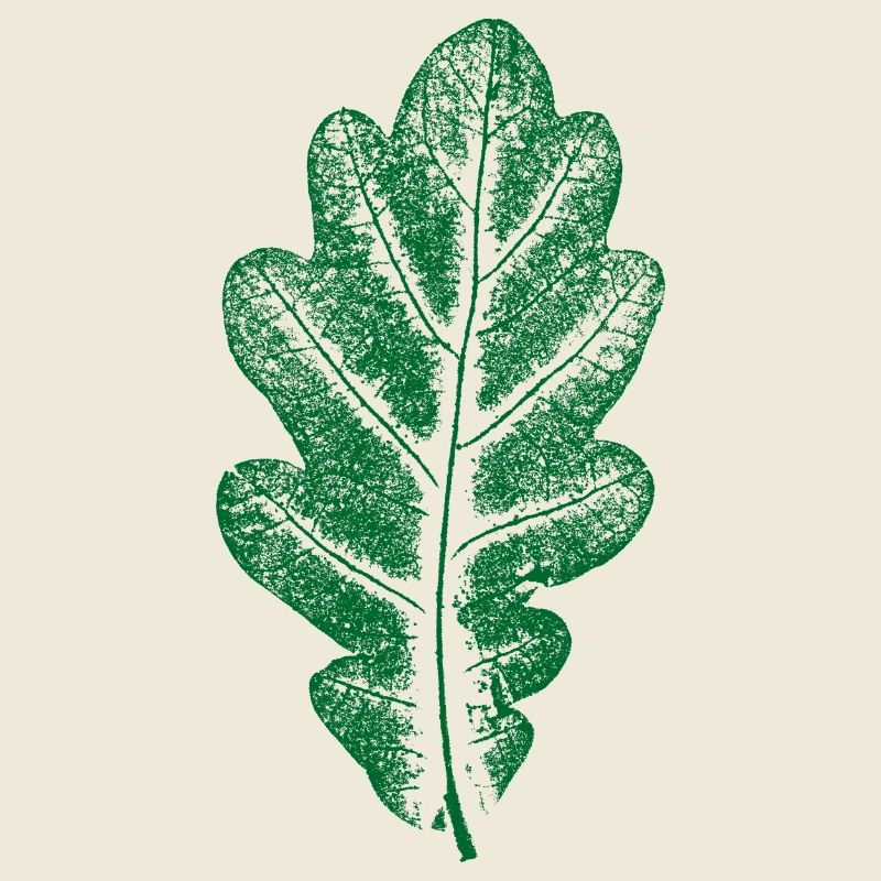 Vert Feuille de Chêne - Monocolore - Feuille/Chêne/ Arbre