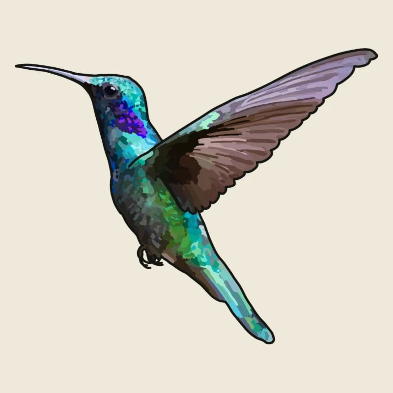 Colibri