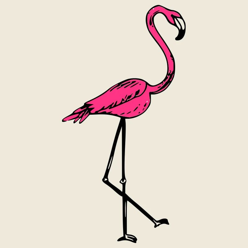 flamingo