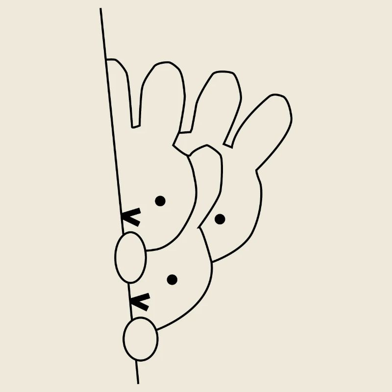 lapin