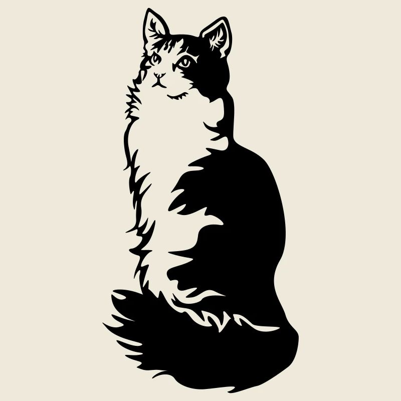 Norwegian Forest Cat Tuxedo