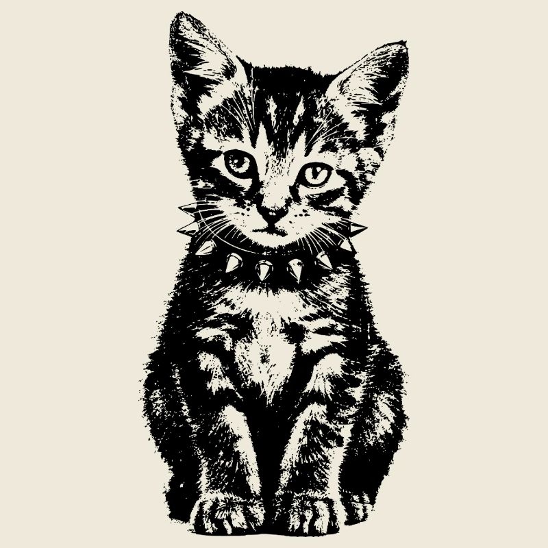 punk kitten
