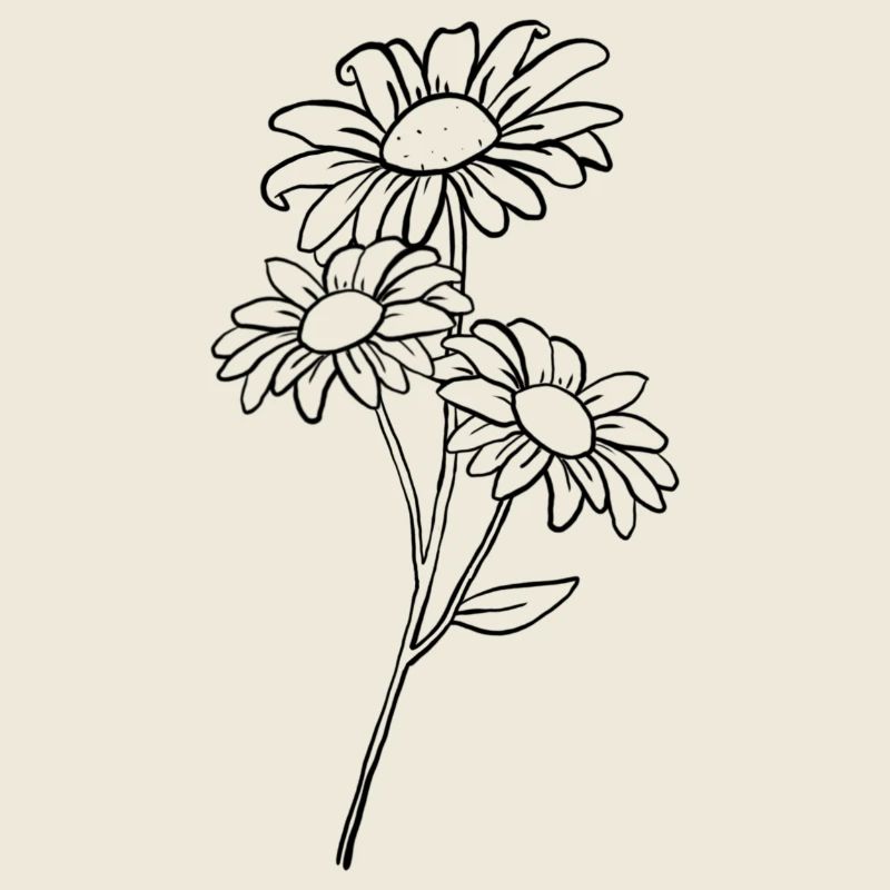 Gänseblümchen / Daisy