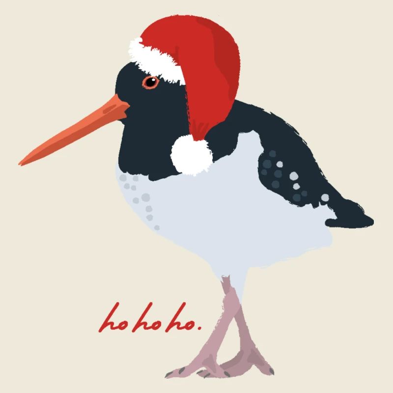 Oystercatcher with Santa hat