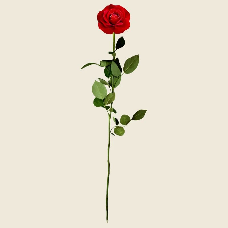 Rose avec tige