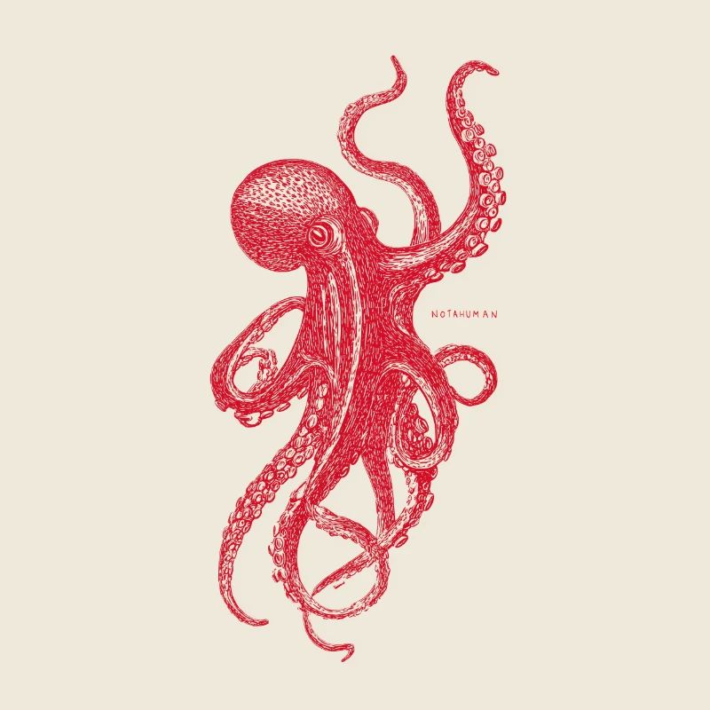 Red Octopus