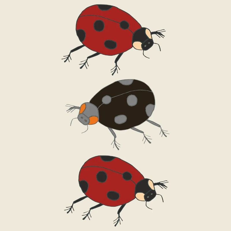 ladybug trio