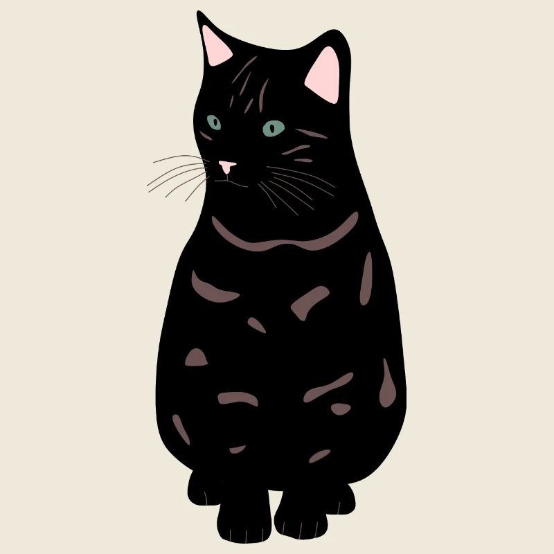 black cat