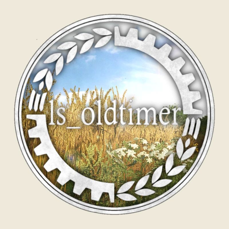 ls_oldtimer Logo