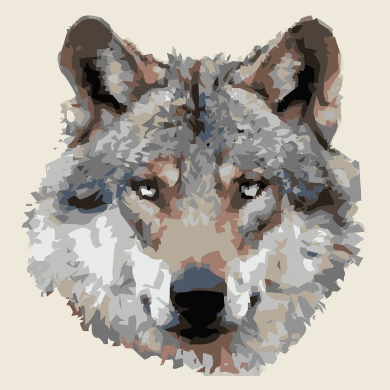 Wolf (grau)