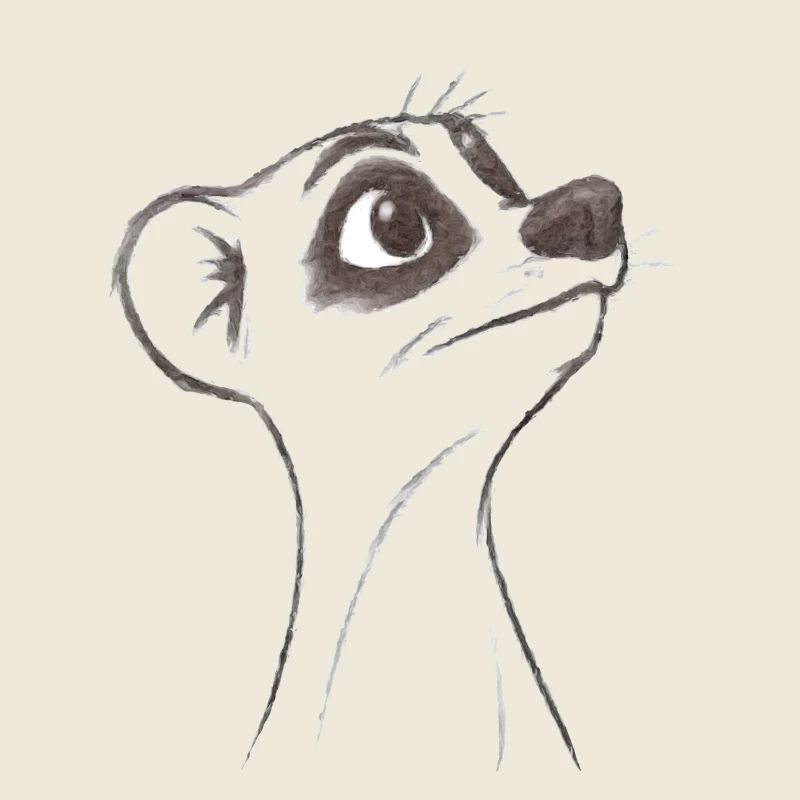 Suricate d’interrogation