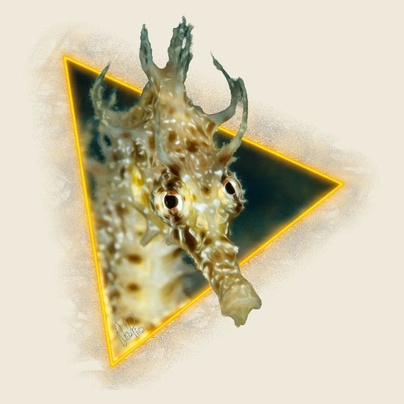 Seahorse in a triangle