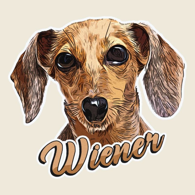 Dachshund "Viennese" Dachshund