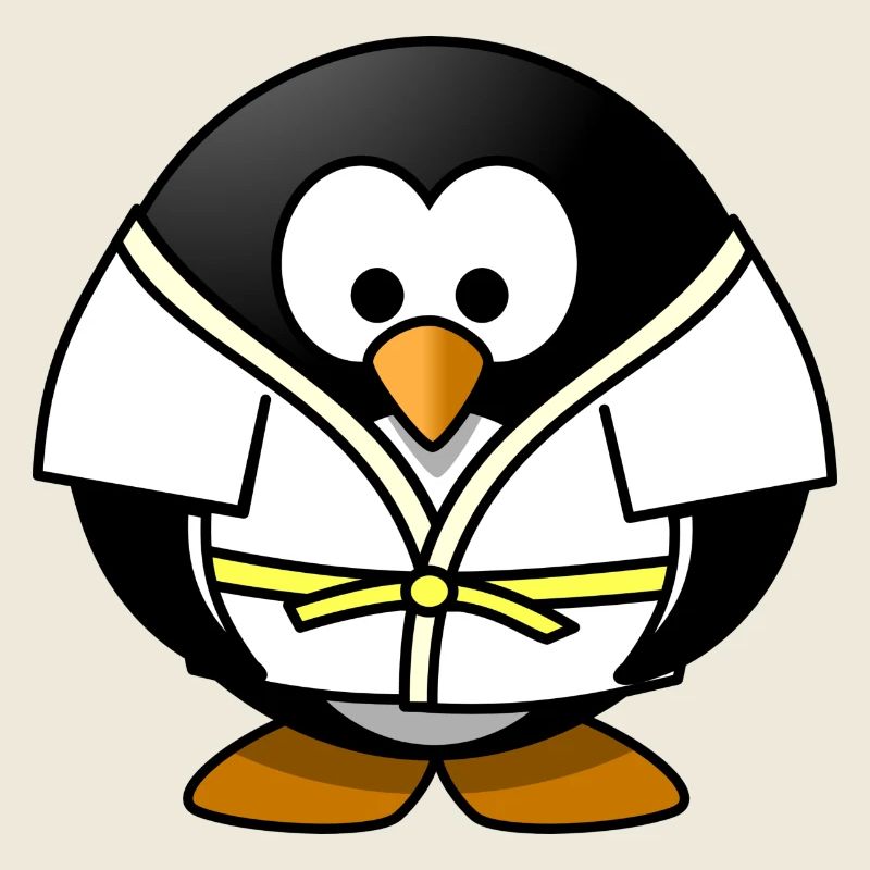 kleiner Pinguin beim Judo