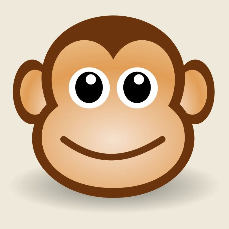 Monkey Face Gift Idea