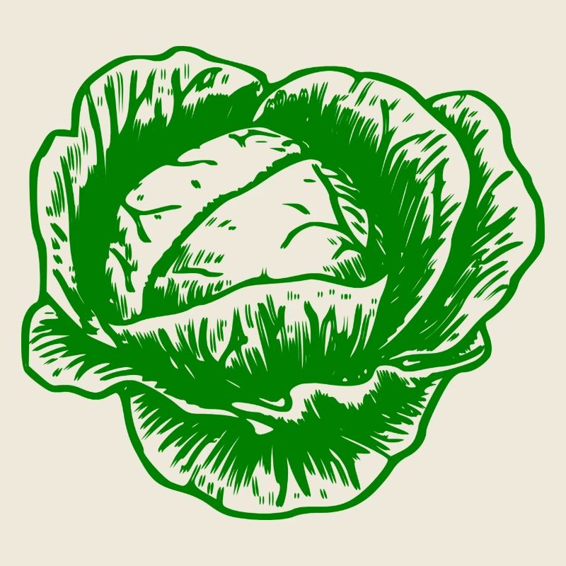 kohl rotkohl weisskohl cabbage kale veggie gemuese